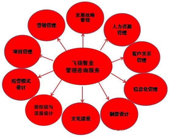 管理咨詢服務(wù)哪家強(qiáng)？深度解析信息咨詢領(lǐng)域的選擇策略